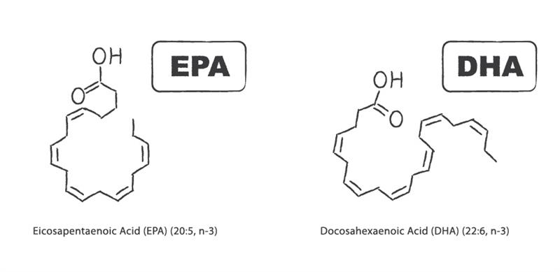 EPA-versus-DHA-.jpg
