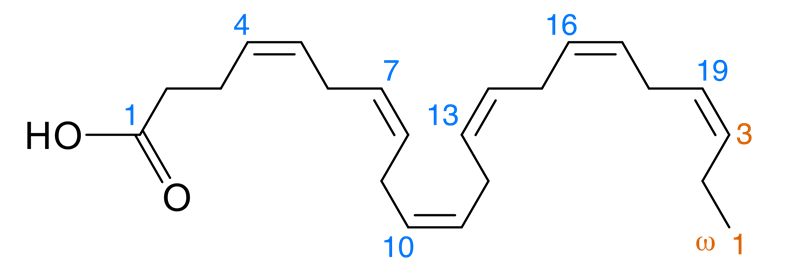 DHA_numbers.svg.png