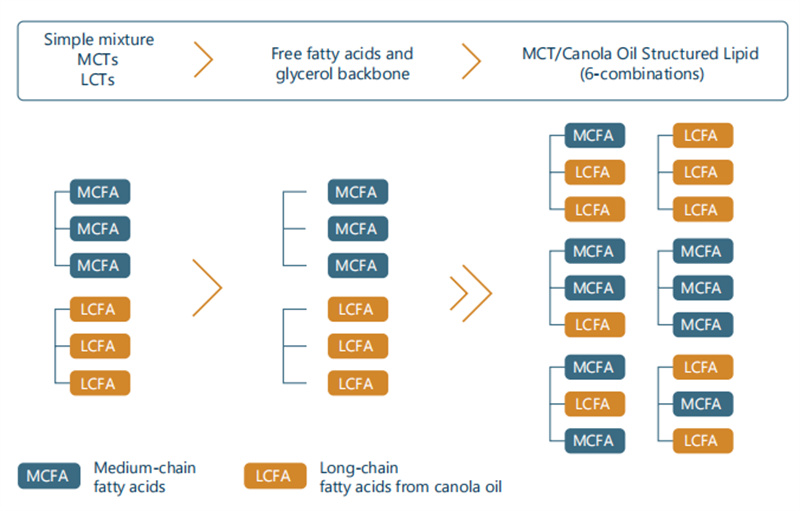 微信图片_2025-08-13_140454_207.jpg 微信图片_2025-08-13_140454_207.jpg